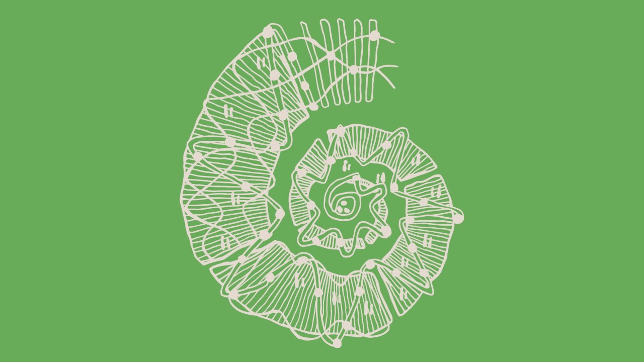 Futures Forum 2018 - Call to Action